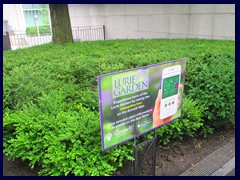 Millennium Park 39  - Lurie Garden, the world's largest green roof